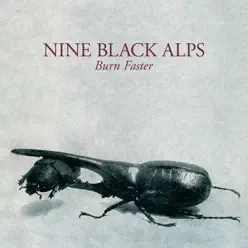 Burn Faster - Single - Nine Black Alps