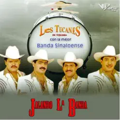 Jalando La Banda - Los Tucanes de Tijuana
