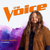 Chris Kroeze - Human (The Voice Performance)