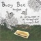 Arrival in Ballyvaughan - Busy Bee lyrics