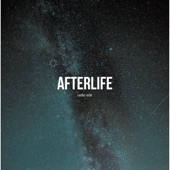 Afterlife (Radio Edit) artwork