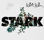 Stark (DJ Maringo Remix) artwork