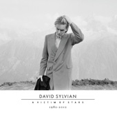 David Sylvian - Forbidden Colours
