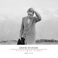 A Victim of Stars 1982-2012 - David Sylvian