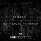 Perfect / Notificação Preferida - Lu & Robertinho lyrics