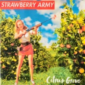 Strawberry Army - Leather Shoes