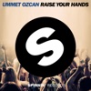 Raise Your Hands - Single