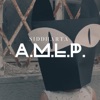 A.M.L.P. - Single