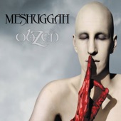 Meshuggah - Dancers To a Discordant System