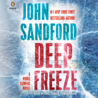 John Sandford - Deep Freeze (Unabridged) artwork
