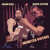Monster Guitars (Live) artwork