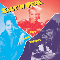 Salt-N-Pepa - Hot, Cool & Vicious artwork