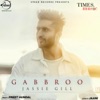 Gabbroo - Single
