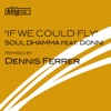 If We Could Fly (feat. Donni) - EP