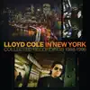 In New York (Collected Recordings 1988-1996) album lyrics, reviews, download