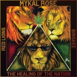 Mykal Rose, Binskee & Red Lions - Solidarity