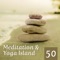 Spiritual Development - Healing Yoga Meditation Music Consort lyrics