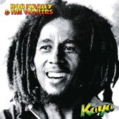 Bob Marley & The Wailers - is this love