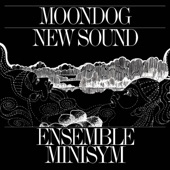 Ensemble Minisym - Oasis