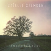 Széllel szemben artwork