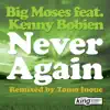 Never Again (feat. Kenny Bobien) album lyrics, reviews, download