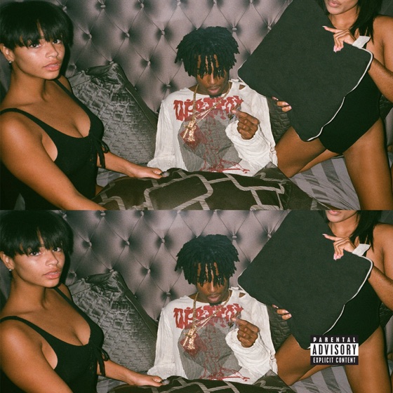 Cover artwork for Dothatshit!