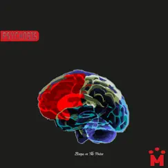 Psychosis - Single by Benga album reviews, ratings, credits