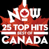 Now: Best of Canada 25 Top Hits artwork