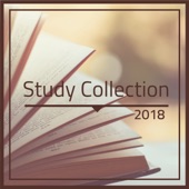 Study Collection 2018 - Relaxing Piano Music for Studying, Reading, Concentration, Focus, Mind Power artwork