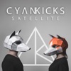 Satellite - Single