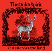 The Duke Spirit - Cuts Across the Land