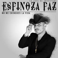 No Me Chingues La Vida - Single - Espinoza Paz