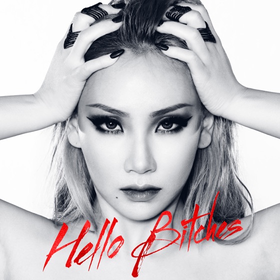 Cover artwork for Hello Bitches