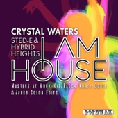 I Am House (Remixes) - EP artwork