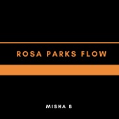 Rosa Parks Flow artwork