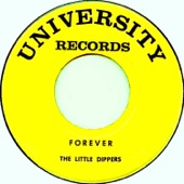 Forever (Single Version) artwork