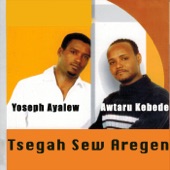 Tsegah Sew Aregen artwork