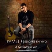 Sesiones en Vivo (A Guitarra y Voz) artwork
