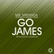 Go James (feat. Mr Miranda & Simone Hines) - Hexsagon lyrics