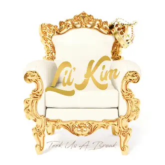 Took Us a Break - Single by Lil' Kim album reviews, ratings, credits