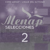 Menap Selecciones 2 (feat. Linaje del Altísimo) artwork