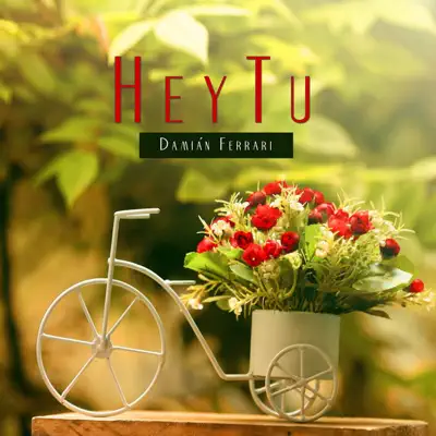 Hey Tú - Single - Damian Ferrari
