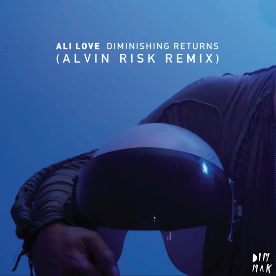 Cover artwork for Diminishing Returns