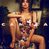 Camila Cabello - Consequences  artwork