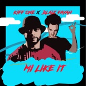 Mi Like It (Club Edit) artwork