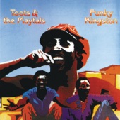 Toots & The Maytals - It Was Written Down