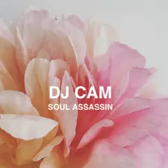 Soul Assassin - Single by DJ Cam album reviews, ratings, credits