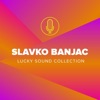 Slavko Banjac - Nek Dovraga Idu Kafane I Žene