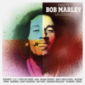 Tribute Bob Marley : La Légende artwork