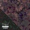 Thief (Remixes) - Single